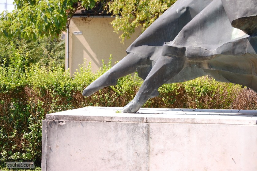 DSC_84762014-08-02_11-01-36