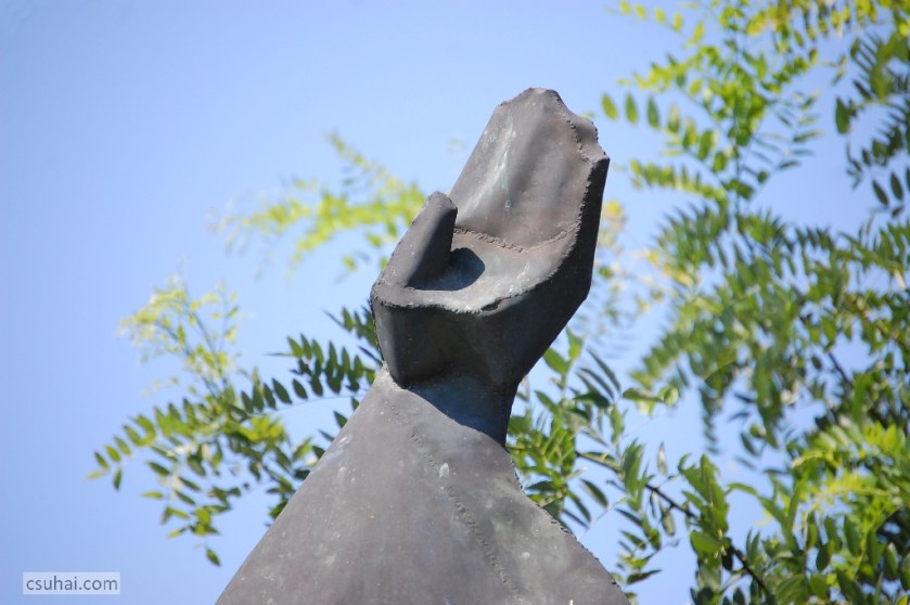 DSC_84782014-08-02_11-01-48