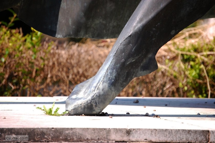 DSC_84792014-08-02_11-01-52