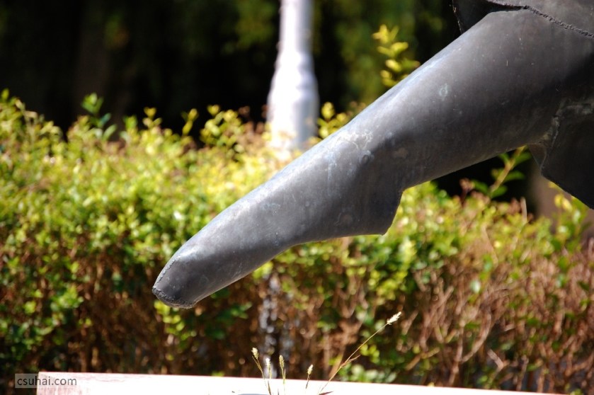 DSC_84802014-08-02_11-01-55