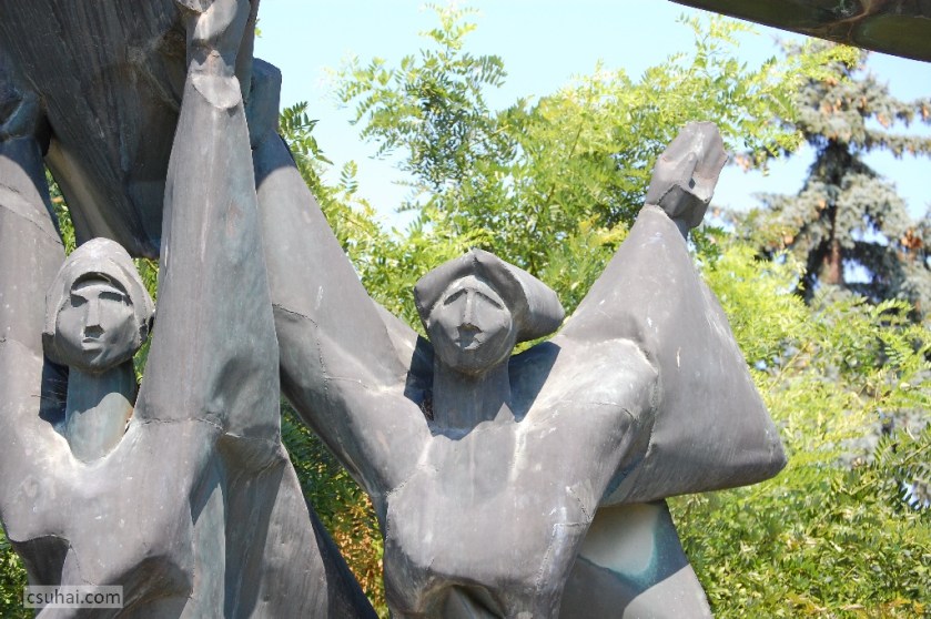 DSC_84832014-08-02_11-02-12