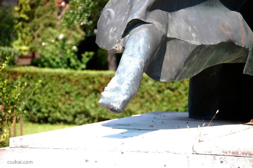 DSC_84842014-08-02_11-02-16