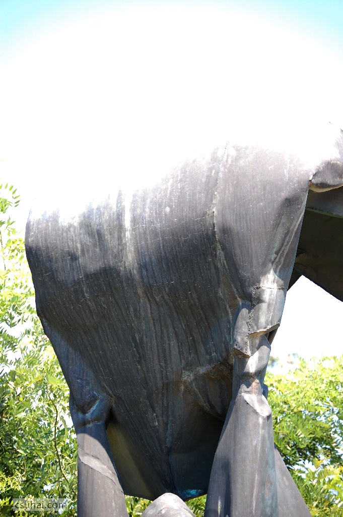 DSC_84932014-08-02_11-02-48