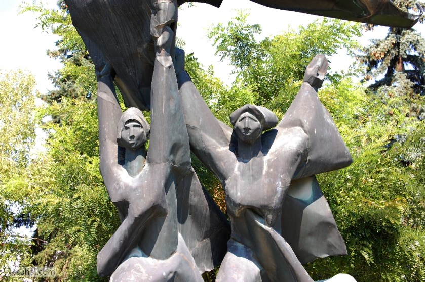 DSC_84962014-08-02_11-03-00