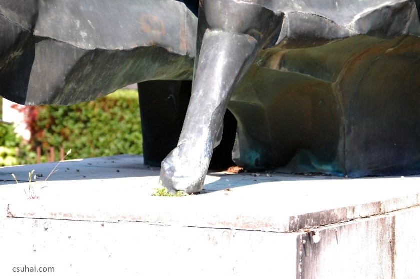 DSC_84982014-08-02_11-03-08