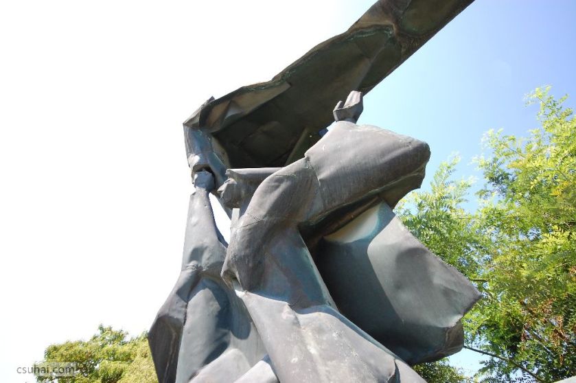 DSC_85222014-08-02_11-05-44