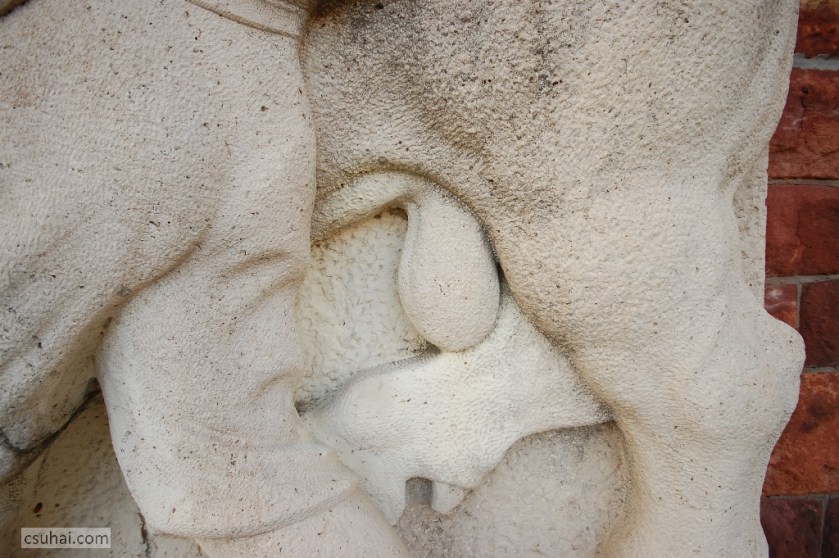 DSC_89792014-08-07_19-42-03