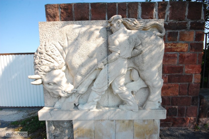 DSC_91682014-08-09_09-38-46