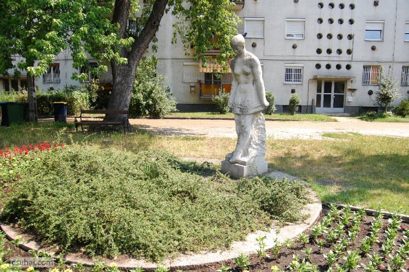 DSC_27812014-06-11_11-01-09