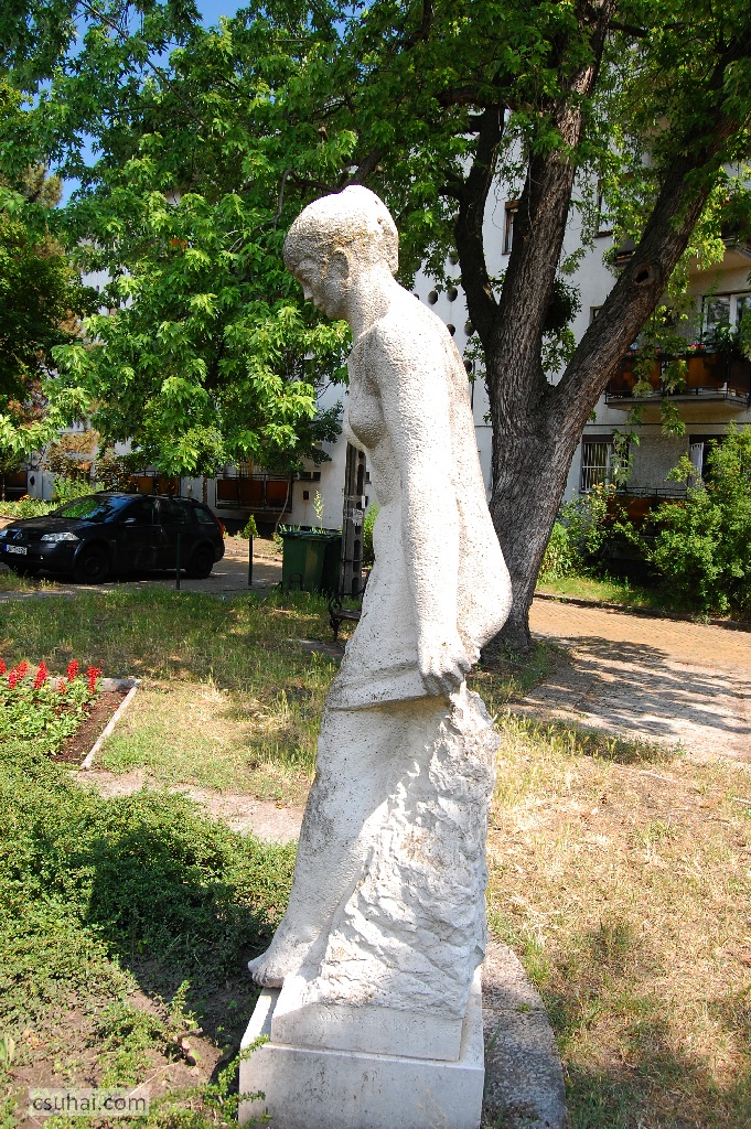 DSC_27832014-06-11_11-01-21