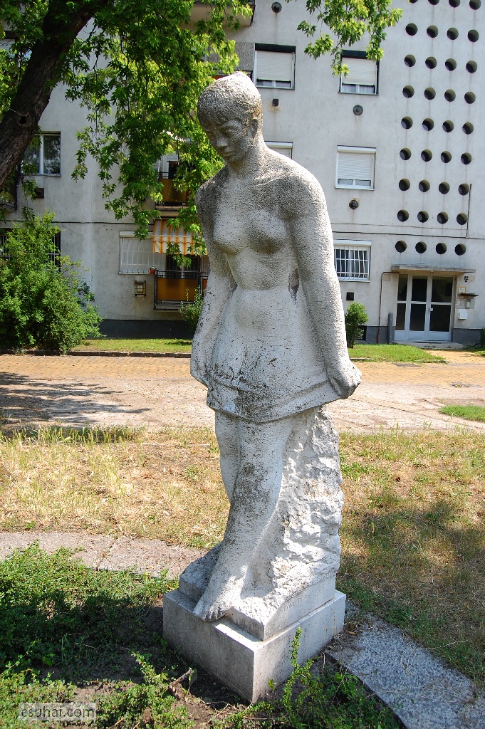 DSC_27962014-06-11_11-03-02