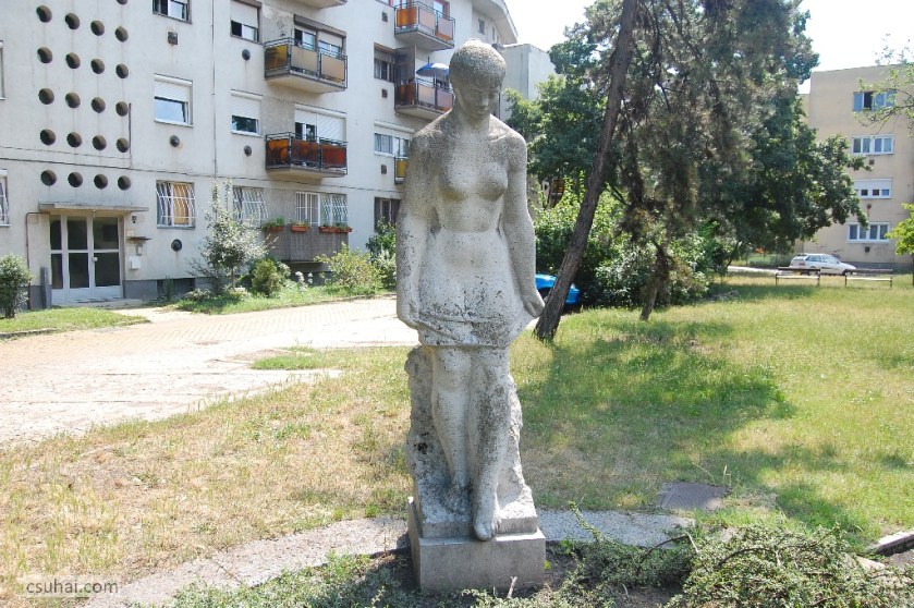 DSC_27982014-06-11_11-03-16