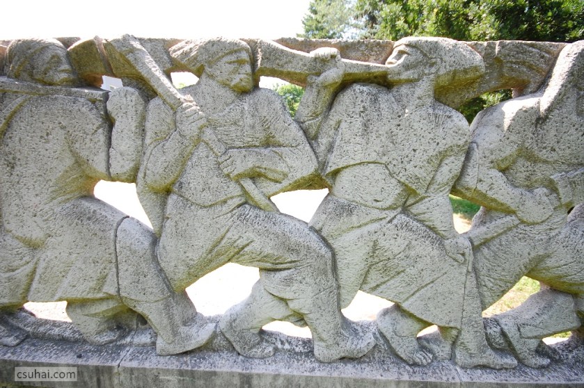 DSC_30942014-06-11_13-39-55