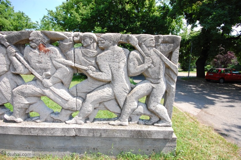 DSC_31002014-06-11_13-40-29