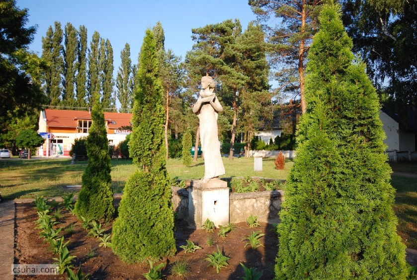 DSC_55002011-06-12_19-07-04