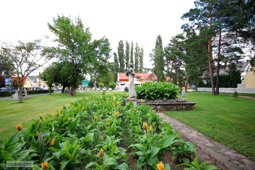 DSC_99182014-08-15_17-15-05