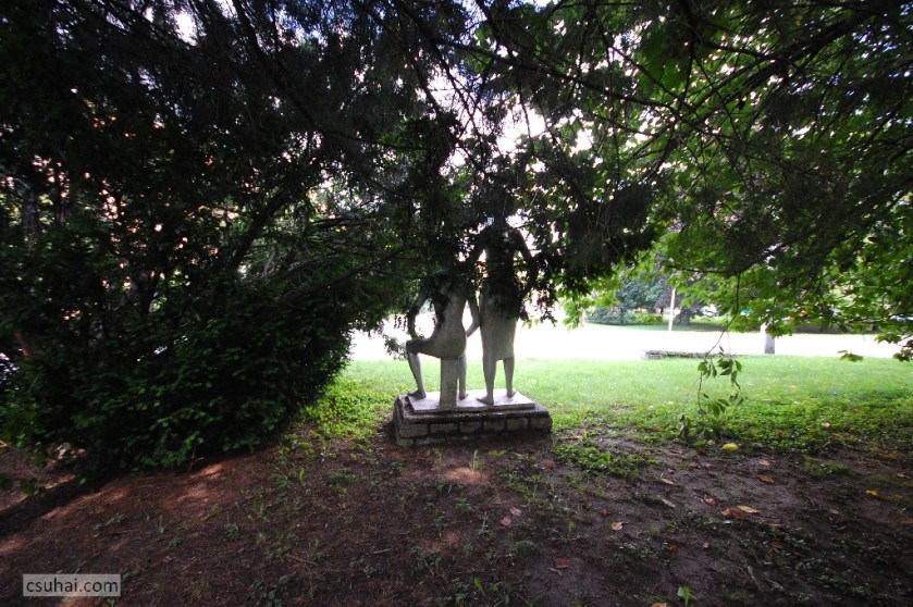 DSC_97562014-08-11_15-11-00