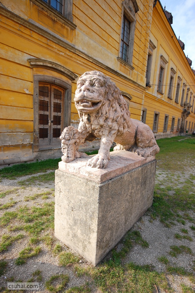 DSC_11852011-10-03_13-20-09