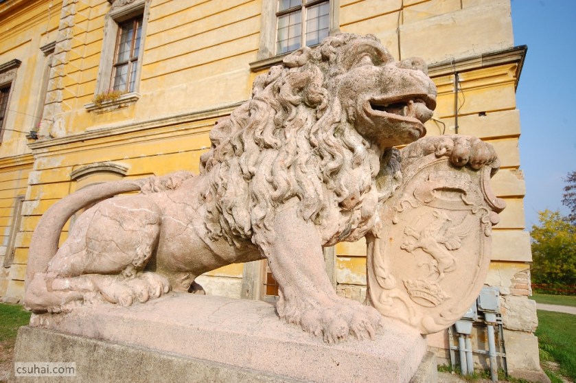 DSC_11912011-10-03_13-21-26