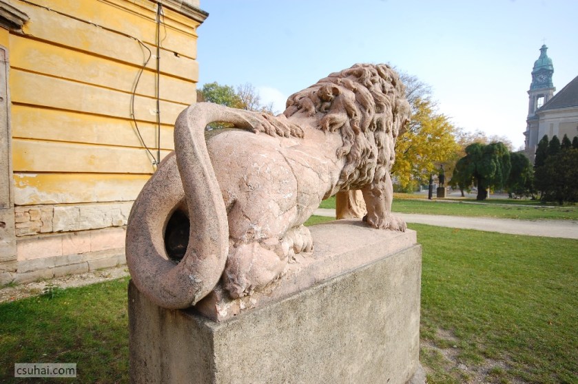 DSC_11932011-10-03_13-21-40