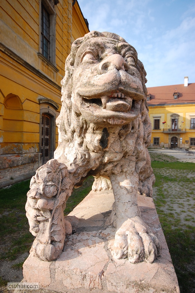 DSC_12042011-10-03_13-25-12