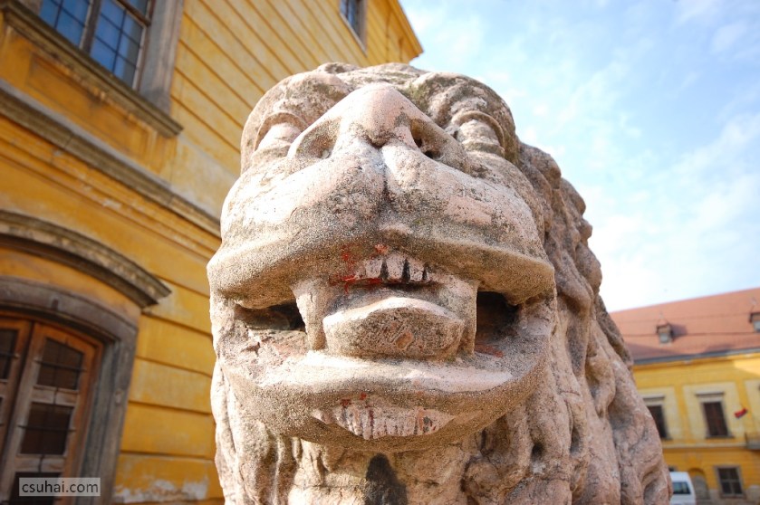 DSC_12052011-10-03_13-25-16