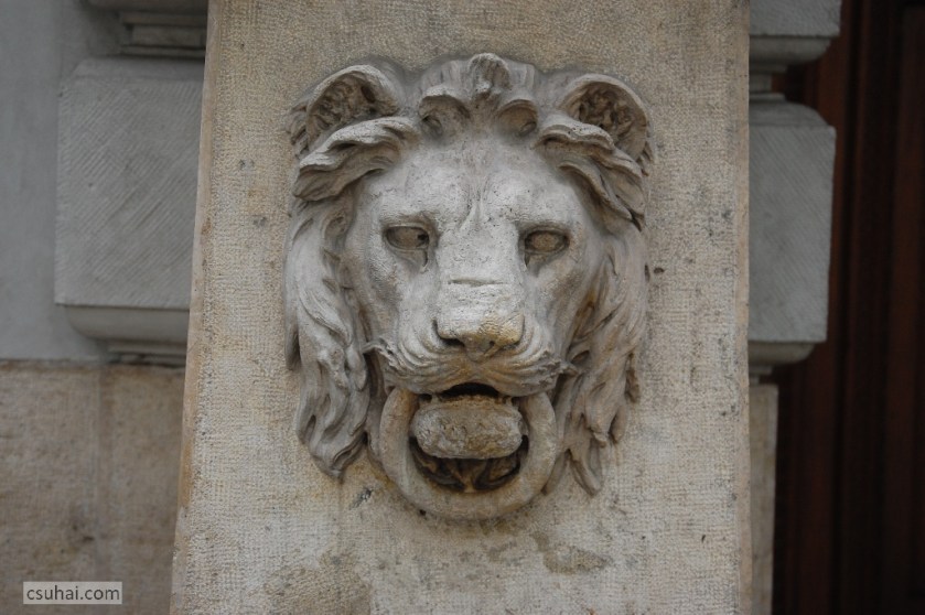 DSC_40622013-05-24_10-56-00