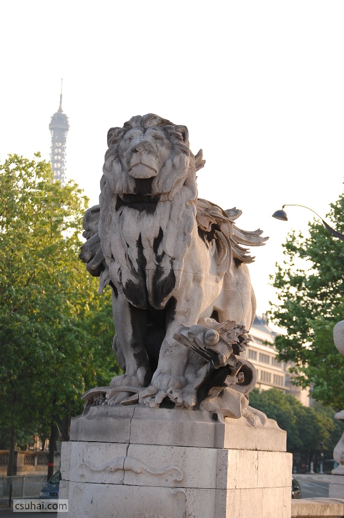 DSC_42032008-06-09_20-25-01