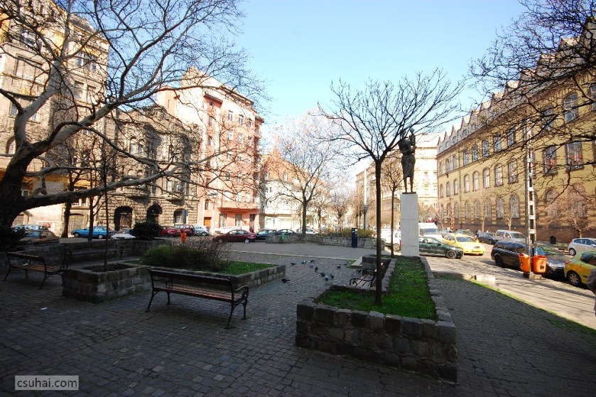 DSC_67772014-03-14_11-19-04