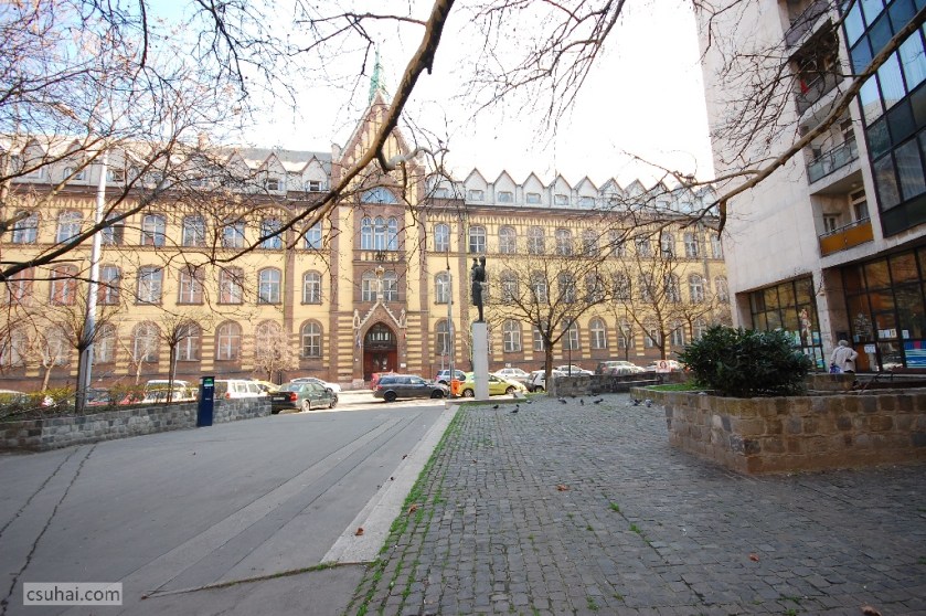 DSC_67842014-03-14_11-20-53