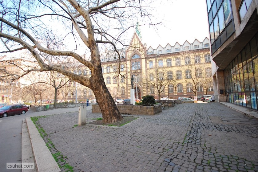 DSC_67852014-03-14_11-21-19