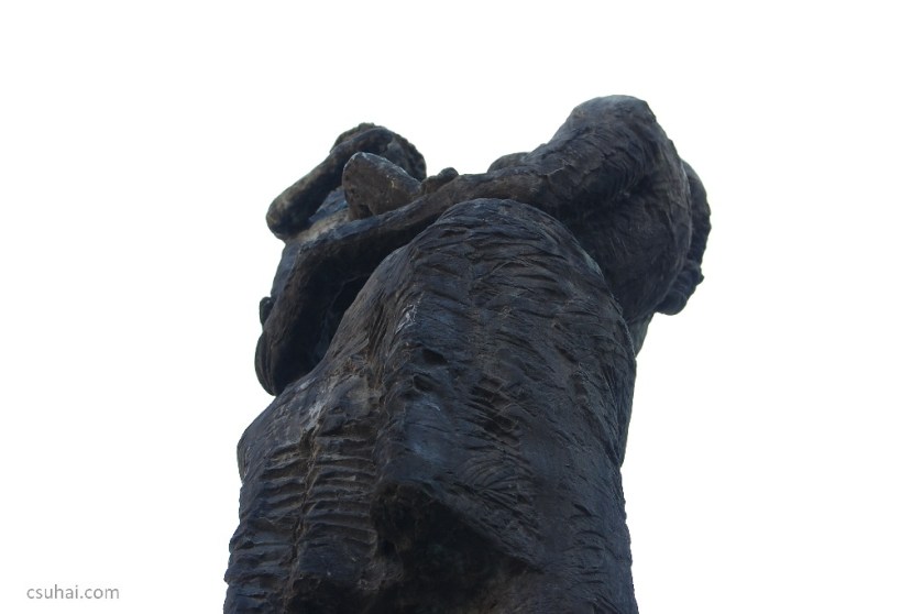 DSC_68962014-03-14_12-43-09