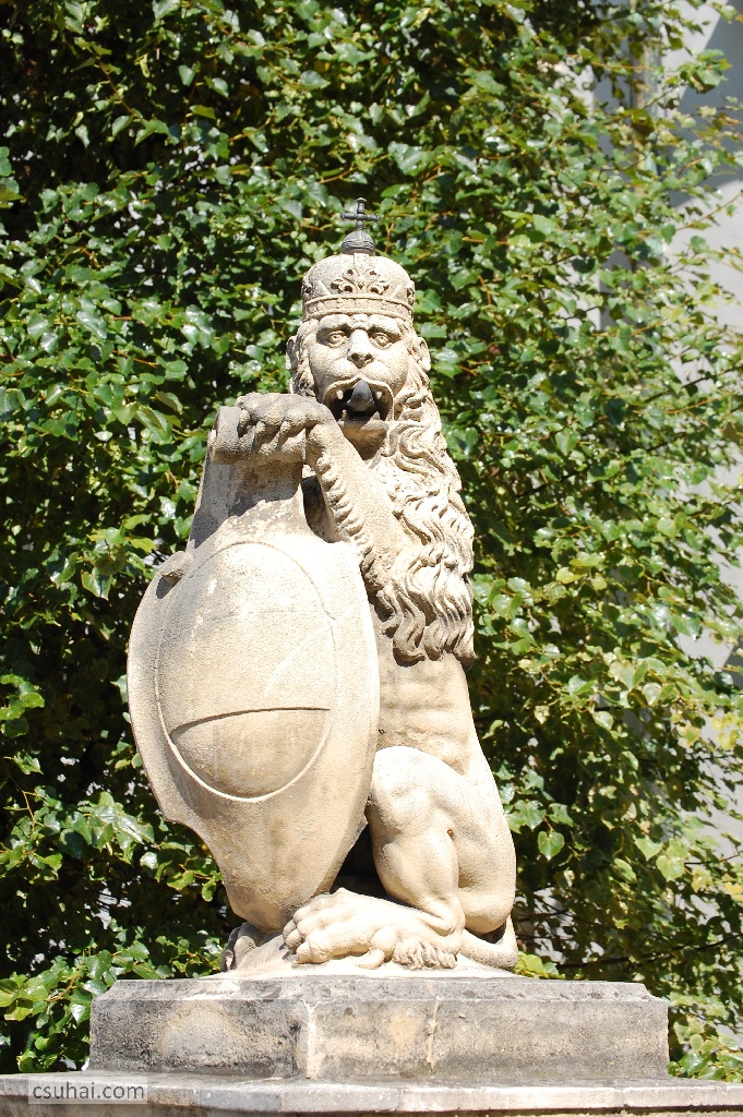 DSC_72912014-07-19_15-38-35