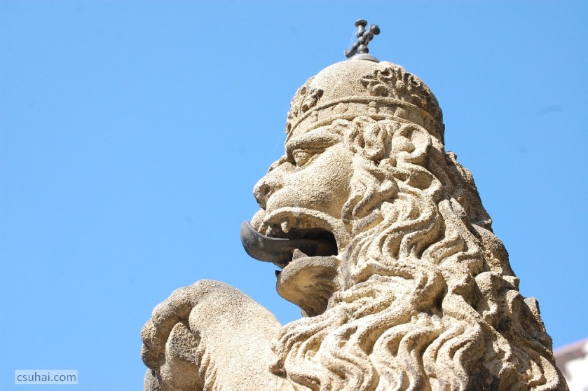 DSC_72922014-07-19_15-38-43