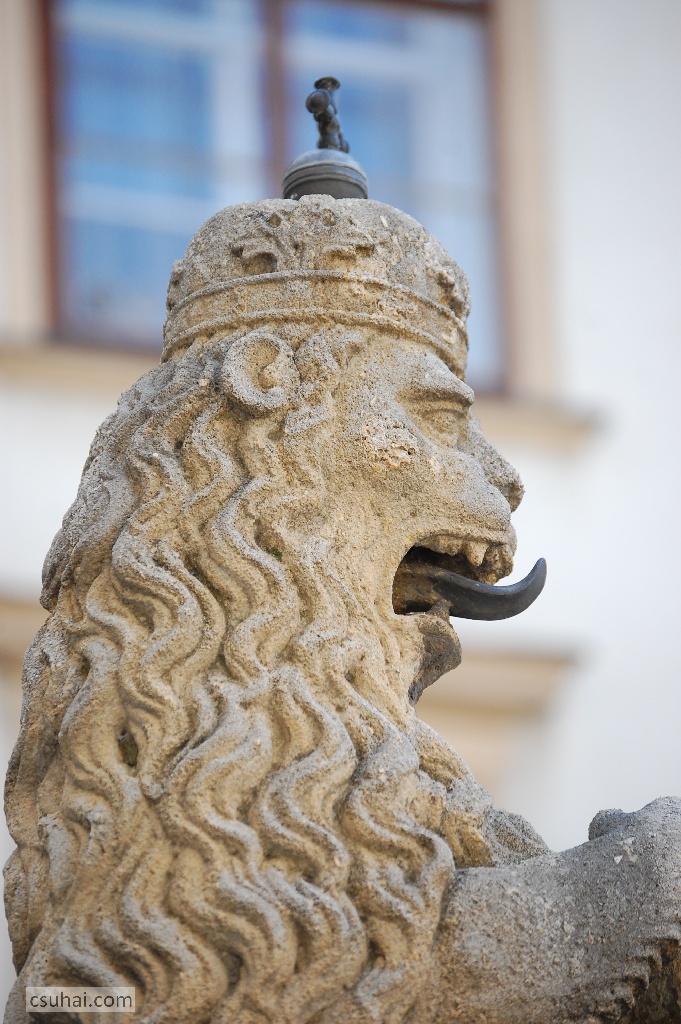 DSC_72962014-07-19_15-39-01