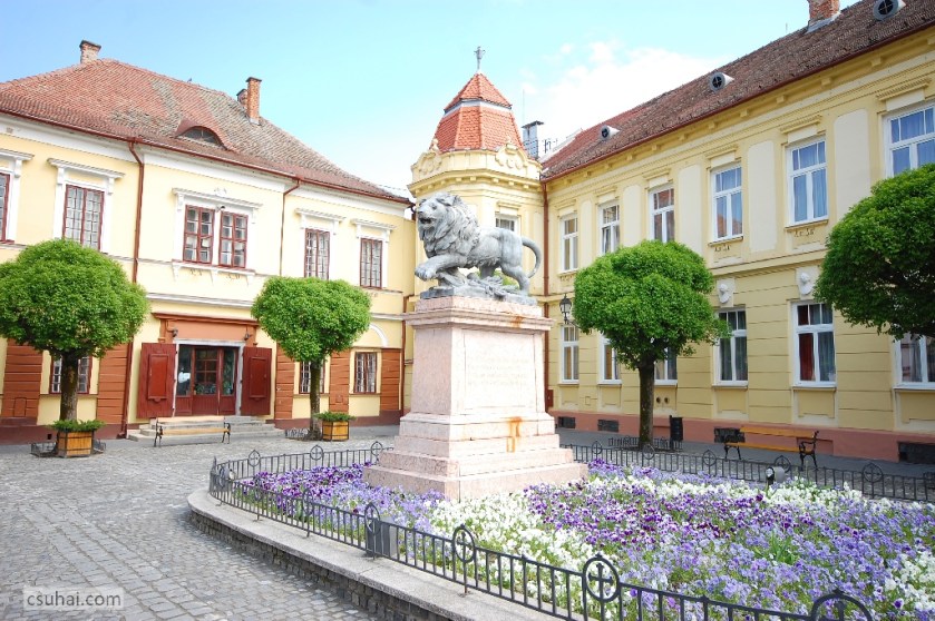 DSC_80382014-04-18_10-38-44