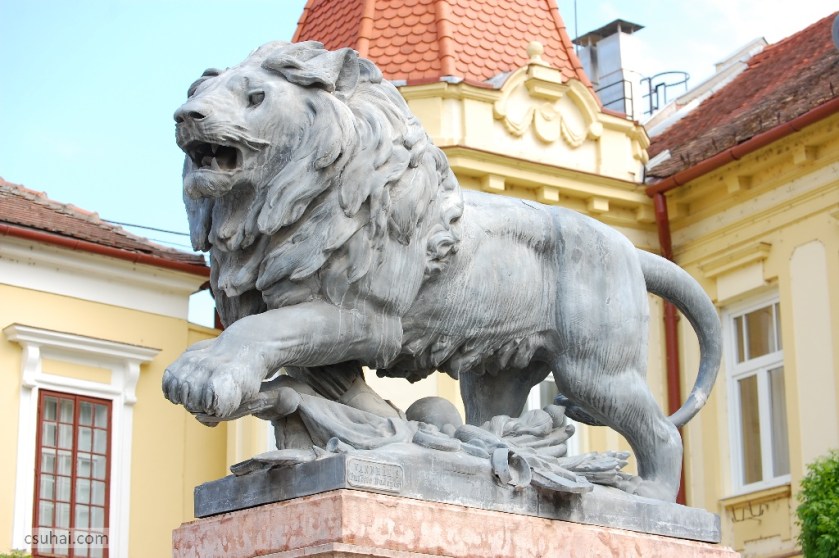 DSC_80422014-04-18_10-40-00