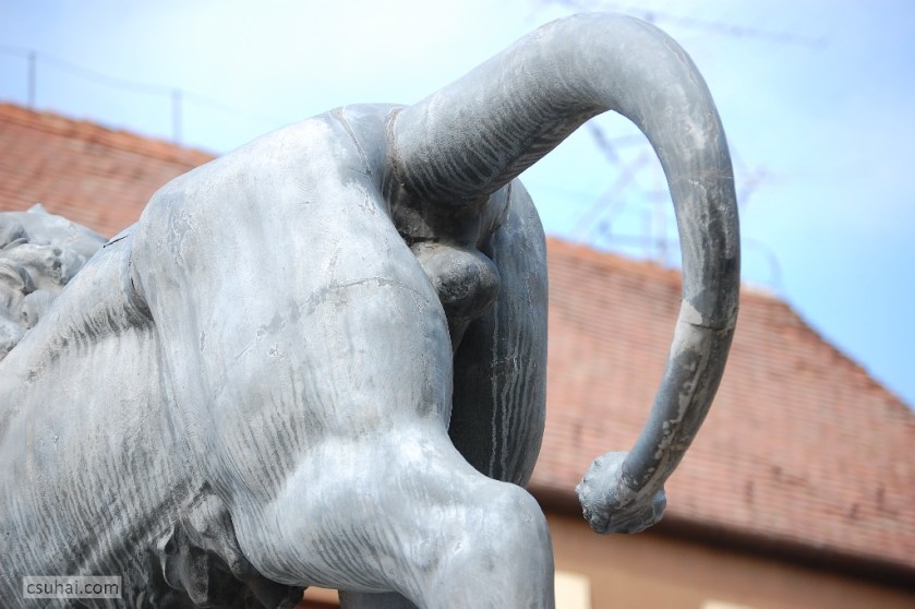 DSC_80482014-04-18_10-41-15