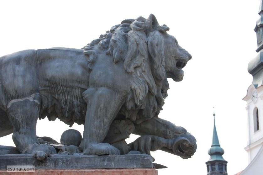 DSC_80512014-04-18_10-41-39