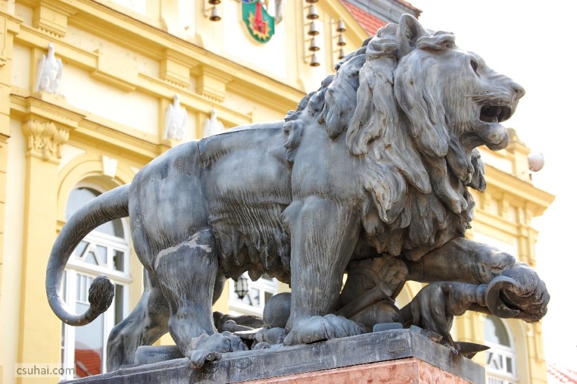 DSC_80522014-04-18_10-41-45