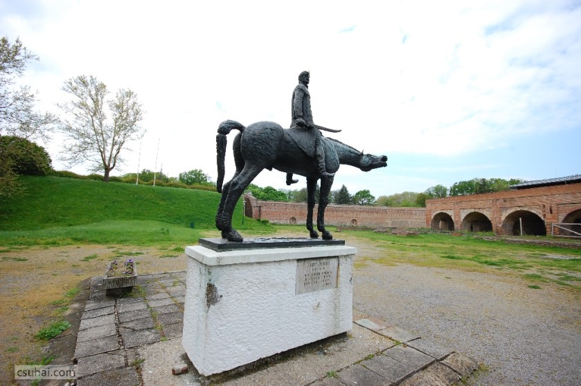 DSC_81682014-04-18_11-25-39