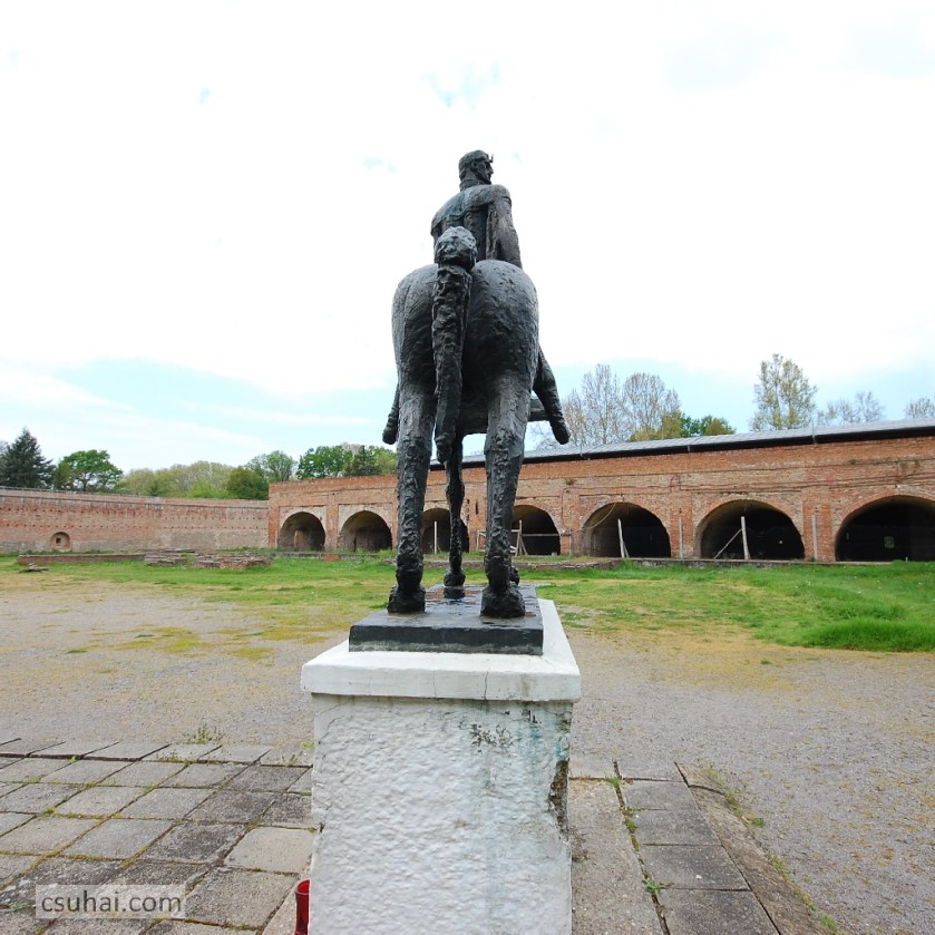 DSC_81702014-04-18_11-25-48