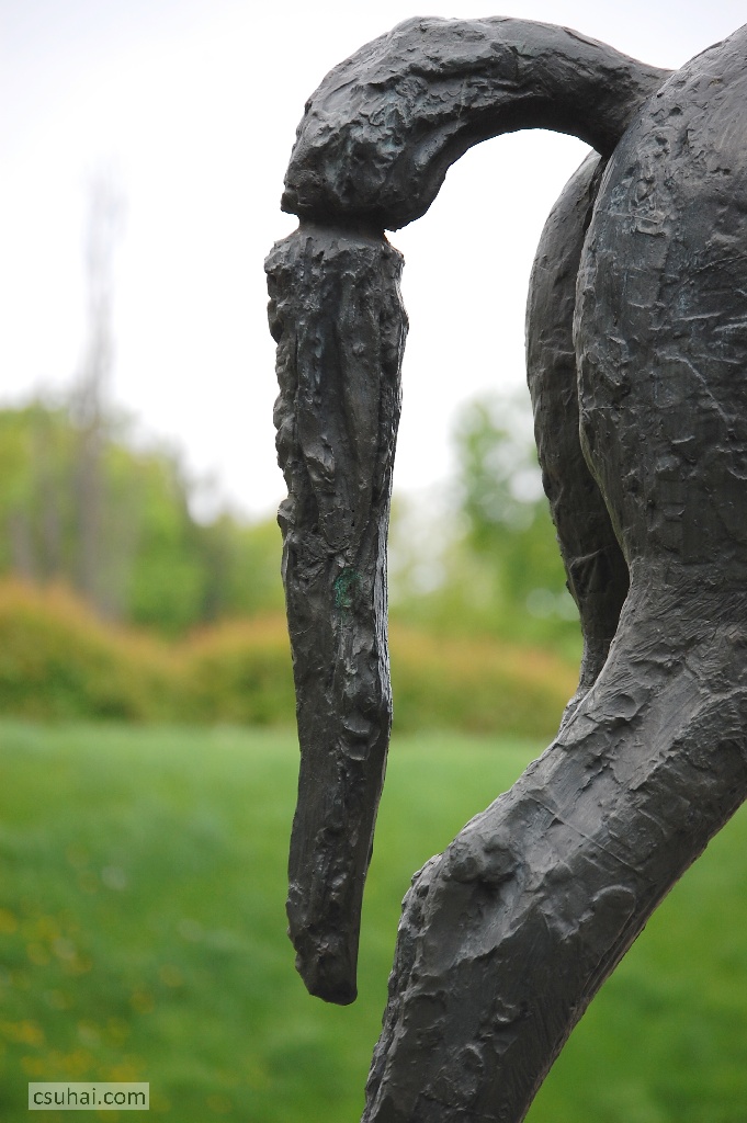 DSC_81822014-04-18_11-28-58