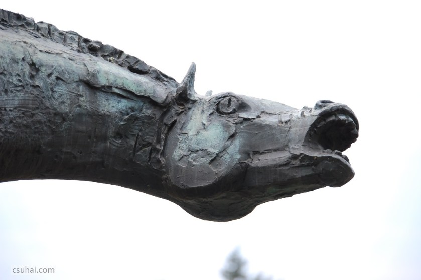 DSC_81852014-04-18_11-29-23