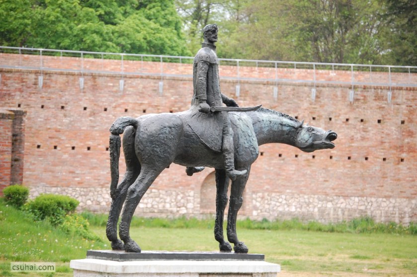 DSC_81952014-04-18_11-31-49