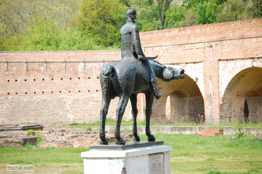 DSC_82462014-04-18_12-12-47