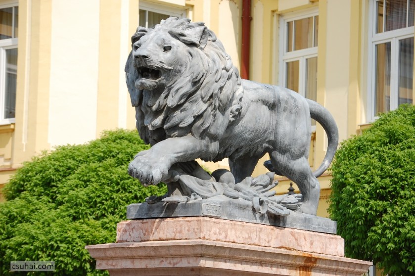 DSC_83612014-04-18_13-08-50