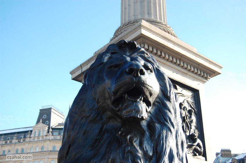 DSC_91052009-02-04_13-57-58