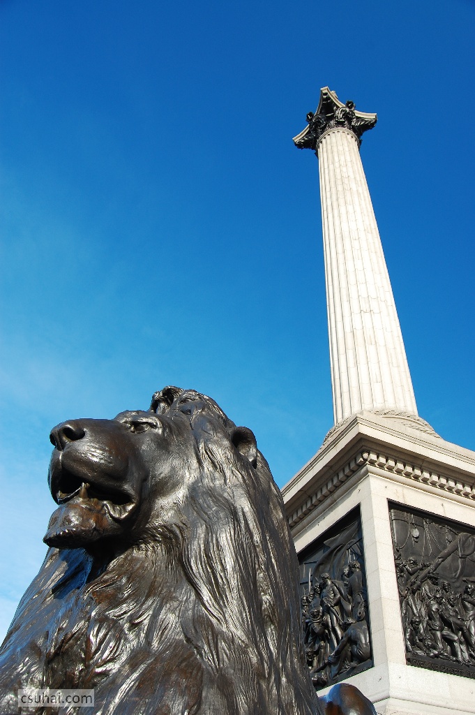 DSC_91082009-02-04_13-58-51