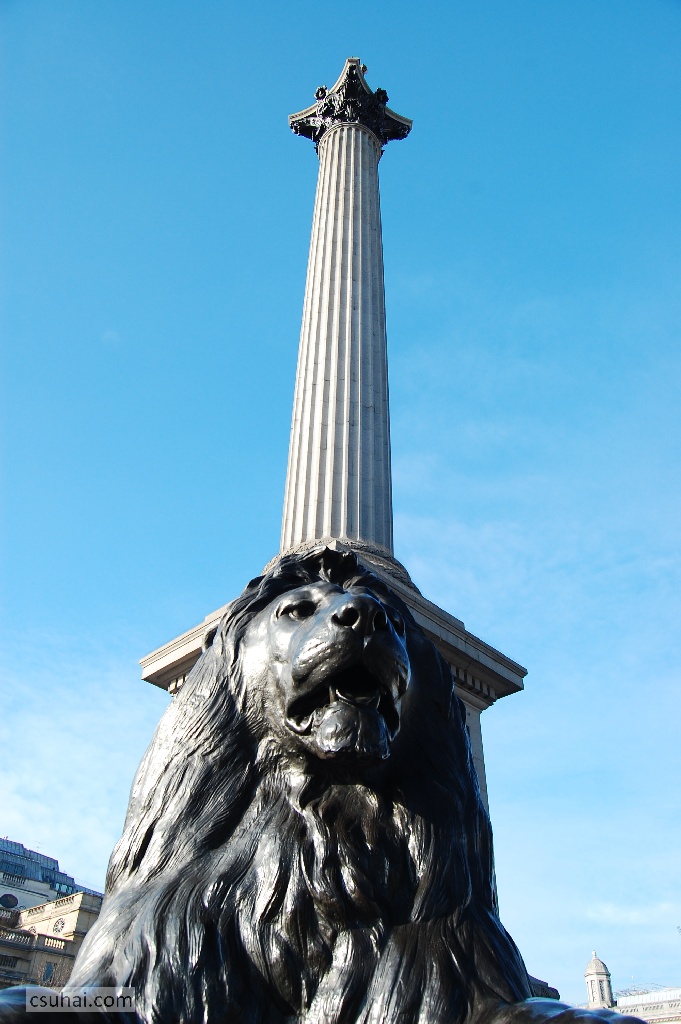 DSC_91132009-02-04_13-59-33